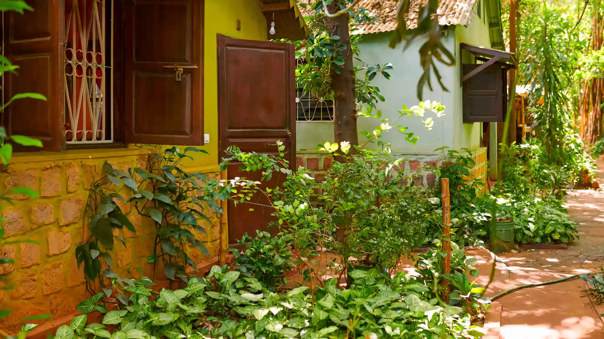 Bungalow Standard